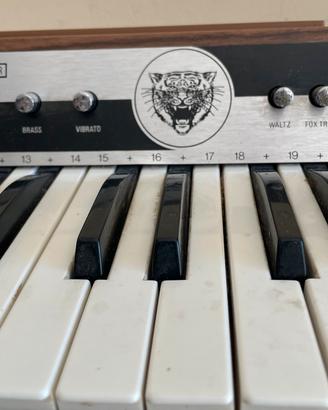 Organi vintage Eko Tiger junior anni 70