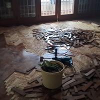 Gratis parquet dossier 130 mq tutto legno 5x23 cm