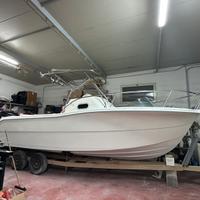 Barca Walkaround Oceanica 24