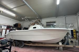 Barca Walkaround Oceanica 24