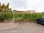 Immagine 26