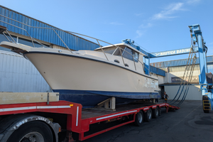 Pilotina veloce Ommia