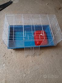 gabbia per conigli  nani, 