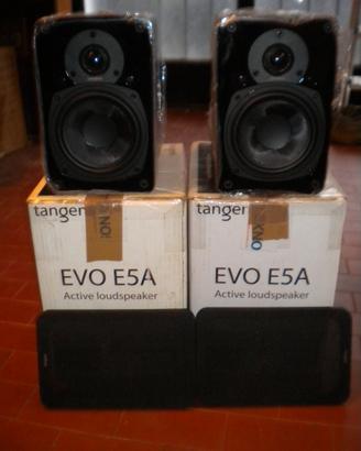 monitor amplificati