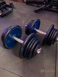 Manubri regolabili 52 kg.  Coppia da 26 kg cias