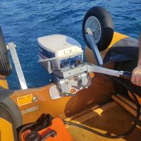 Evinrude 9.9  2tempi