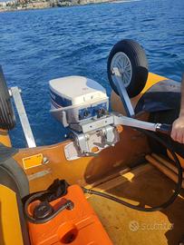Evinrude 9.9  2tempi
