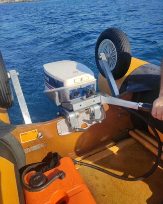 Evinrude 9.9  2tempi