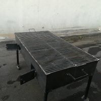 Barbecue professionale