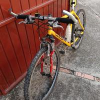 Mountain bike Lee Cougan