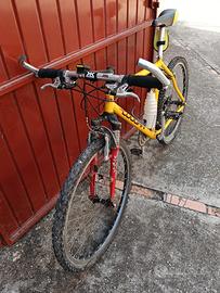 Mountain bike Lee Cougan