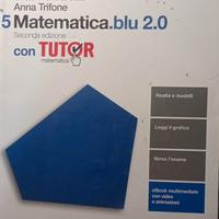 Matematica blu 2.0, Volume 5