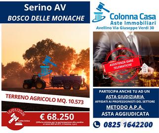 Terreno agricolo a Serino