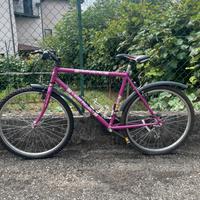 Bicicletta “City Pro”