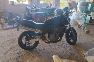 Hornet Honda 600