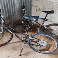 2 Biciclette Marca BIANCHI