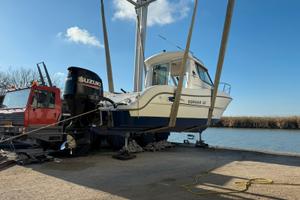 Sessa Dorado 22 + Suzuki 150cv 300ore