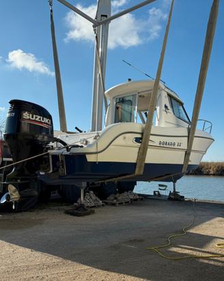 Sessa Dorado 22 + Suzuki 150cv 300ore