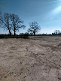 RGE 346/2022 Trib Pavia