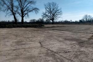 RGE 346/2022 Trib Pavia