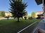 Immagine 14