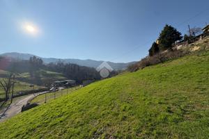 TER. AGRICOLO A FORESTO SPARSO