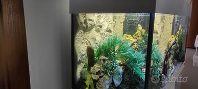 Acquario da 200Lt
