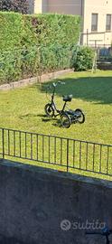 Bicicletta Elettrica a Tre  Ruote (E-Trike)
