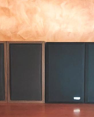 Casse Bose/Bic Venturi