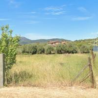 Vendita Terreno Edificabile