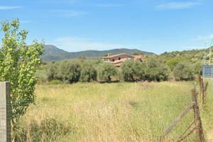 Vendita Terreno Edificabile