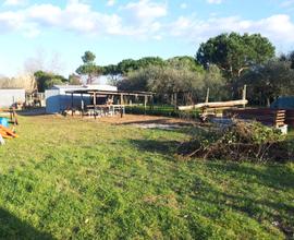 Terreno agricolo a torre del lago Puccini