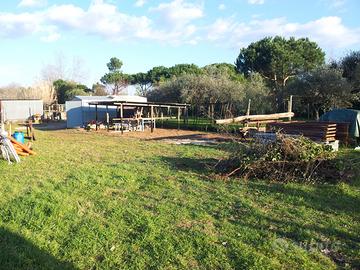 Terreno agricolo a torre del lago Puccini