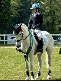 Pony dressage e brevetto