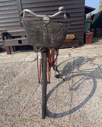 Bicicletta da donna