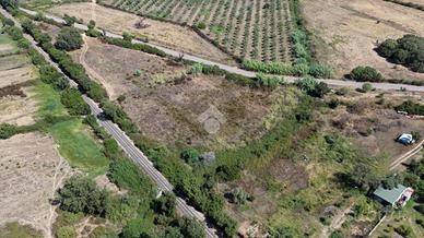 TER. AGRICOLO A TORTOLÌ