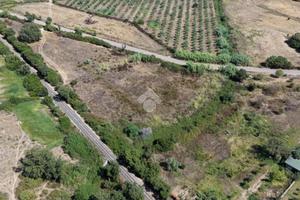 TER. AGRICOLO A TORTOLÌ