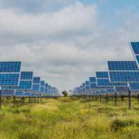 Terreno ad uso fotovoltaico