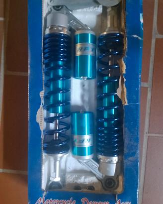 coppia ammortizzatori gas RFY nuovi
