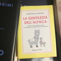 La gentilezza dell’alpaca