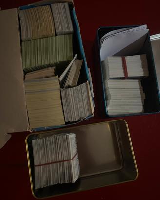 lotto figurine panini
