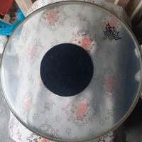 pelle remo per batteria