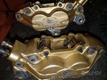 pinze Brembo oro 