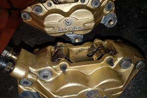 pinze Brembo oro 