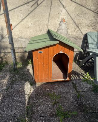 CUCCIA CANE