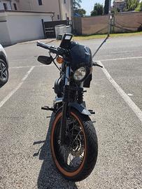 Harley Davidson 883 Iron