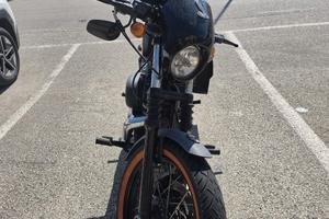 Harley Davidson 883 Iron