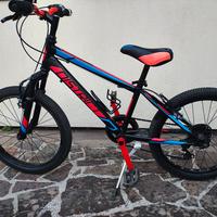 Mtb bambino
