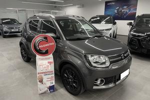 SUZUKI Ignis 1.2 Hybrid 4WD All Grip Top