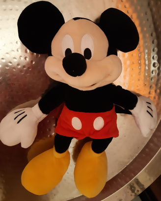 Disney personaggio famiglia Mickymouse